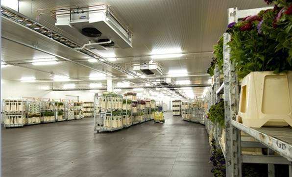 寧波建冷庫(kù)多少錢(qián)一立方？每立方能存多少貨物